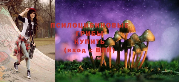 молекула духа Липки