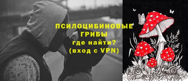 молекула духа Липки