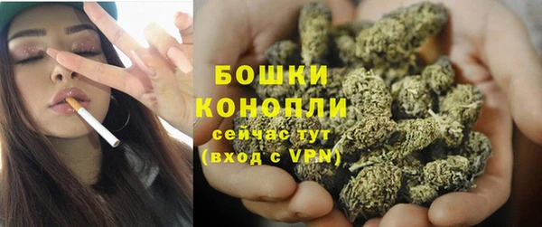 молекула духа Липки