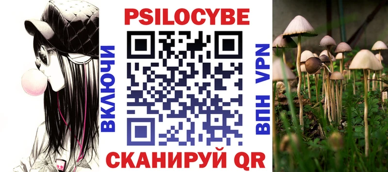 Псилоцибиновые грибы прущие грибы  Сясьстрой 